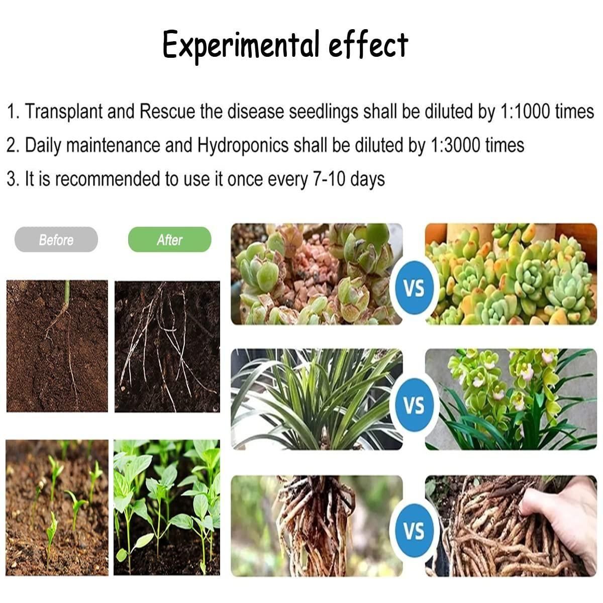 PLANT GROWTH ENHANCER SUPPLEMENT (BUY 1 GET 1 FREE)
