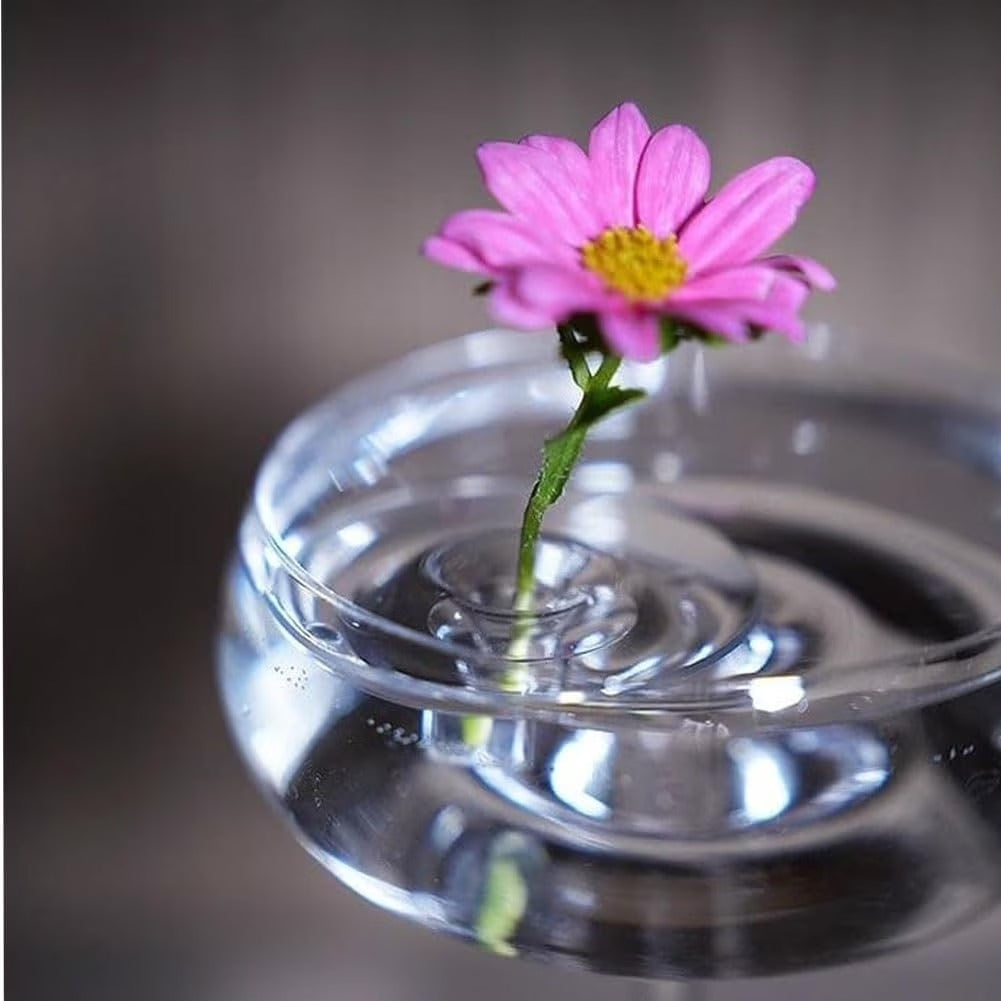 Creative Floating Floral Arrangement Holder