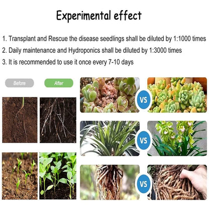 PLANT GROWTH ENHANCER SUPPLEMENT (BUY 1 GET 1 FREE)
