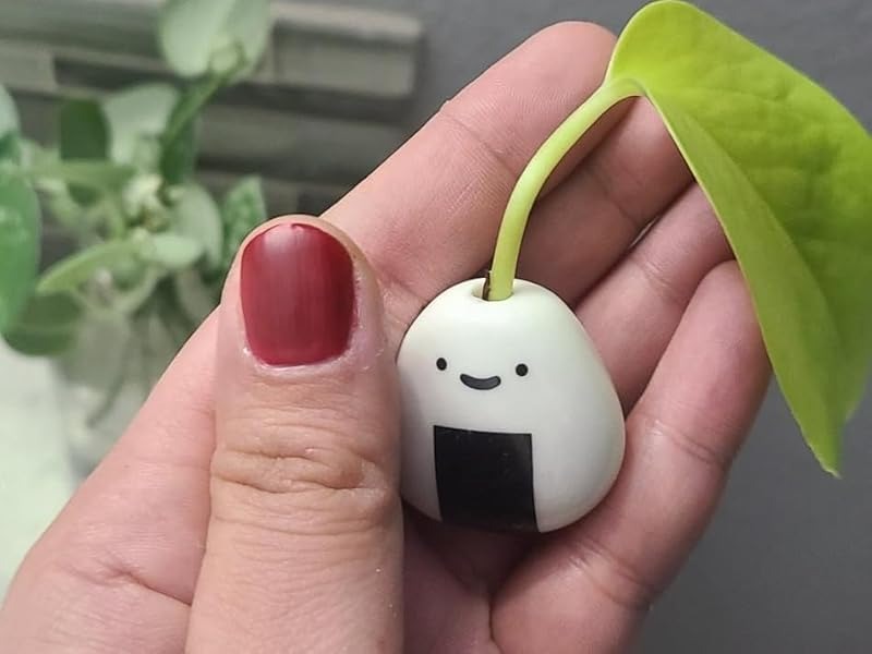 Mini Cute Plant Buddy Vase