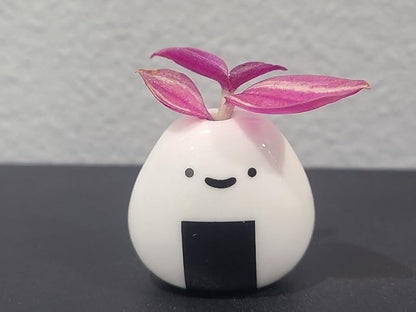 Mini Cute Plant Buddy Vase