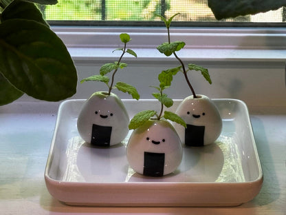 Mini Cute Plant Buddy Vase